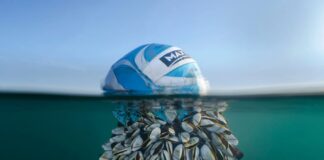 DOĞAL YAŞAMIN FIRSATÇILIĞI… OKYANUSTA BİR TOP MİDYE!