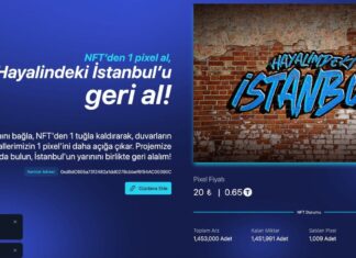 SEÇİM TARİHİMİZDE BİR İLK. NFT İLE KAMPANYA FİNANSMANI