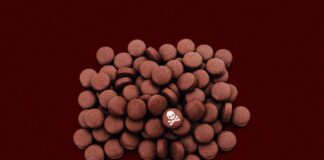 JAPONYA’DA KOLESTEROL HAPI PANİĞİ: 5 KİŞİ ÖLDÜ 100’Ü AŞKIN KİŞİ HASTANEDE!