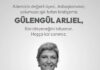 Gülengül Arlıel hayatını kaybetti; Eşkıya ve Av Mevsimi filmlerinin yapımcısıydı.