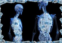 DIŞIMIZ GİBİ İÇİMİZ DE PLASTİK VE İLK BULGULARA GÖRE SONUÇLARI ÇOK CİDDİ