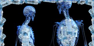 DIŞIMIZ GİBİ İÇİMİZ DE PLASTİK VE İLK BULGULARA GÖRE SONUÇLARI ÇOK CİDDİ