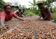 En ‘tatsız’ haber; Çikolata fiyatlarının keskin bir şekilde artırması bekleniyor.