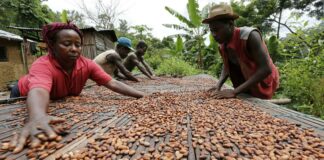 En ‘tatsız’ haber; Çikolata fiyatlarının keskin bir şekilde artırması bekleniyor.