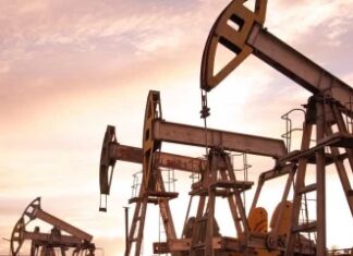 ÇİN 100 MİLYON TONLUK PETROL REZERVİ KEŞFETTİ