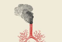 DSÖ RAPORUNDA YER ALDI… TÜRKİYE’NİN HAVASI EN KÖTÜ 5 KENTİ