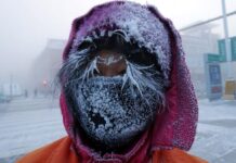 Moğolistan’da sert geçen kış 5 milyona yakın hayvanın ölümüne sebep oldu.