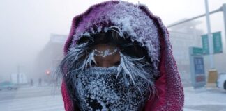 Moğolistan’da sert geçen kış 5 milyona yakın hayvanın ölümüne sebep oldu.