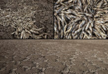 İçler acısı… Bu fotoğraf, Konya’daki May Barajı’ndan