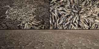 İçler acısı… Bu fotoğraf, Konya’daki May Barajı’ndan