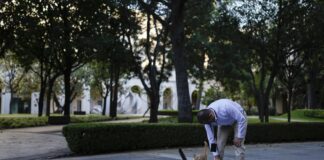 MEKSİKA BAŞKANLIK SARAYININ KADROLU ELEMANI OLDULAR