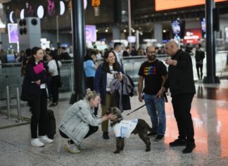 İSTANBUL HAVALİMANI’NIN PATİLİ YENİ ELEMANLARI