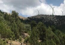 EnerjiSA’nın İzmir’deki RES projesine yürütmeyi durdurma kararı verildi