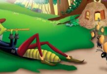 Karınca Haklıymış… Zevküsefanın Sonucu: Cinsel Yolla Bulaşan Bir Mantar Ağustos Böceklerini Hiperseksüel ve Eşcinsel Yapıyor!