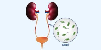 İdrar yolu enfeksiyonları için yeni bir oral aşı bulundu.