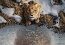 📽️ ‘Mufasa: Aslan Kral’ filminden ilk fragman yayınlandı!