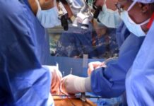 Araştırma/Organ nakli olanların kişiliği de değişiyor