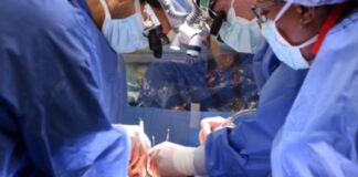 Araştırma/Organ nakli olanların kişiliği de değişiyor
