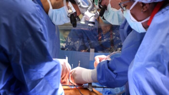 461jpg-rwNQ4gVq50KKmF3cN6SuKg