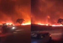 Diyarbakır ve Mardin’de orman yangını can aldı; 5 kişi yaşamını yitirdi, 6 kişi yaralandı!