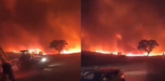 Diyarbakır ve Mardin’de orman yangını can aldı; 5 kişi yaşamını yitirdi, 6 kişi yaralandı!