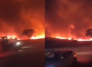 Diyarbakır ve Mardin’de orman yangını can aldı; 5 kişi yaşamını yitirdi, 6 kişi yaralandı!