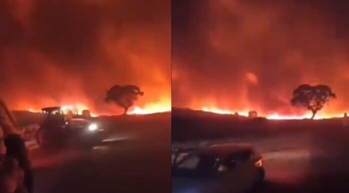 Diyarbakır ve Mardin’de orman yangını can aldı; 5 kişi yaşamını yitirdi, 6 kişi yaralandı!