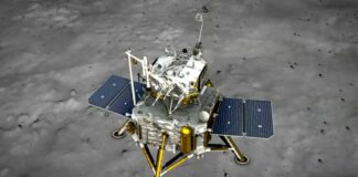 Ayın Esrarlı Yüzünden Nihayet Numune Getirilebildi