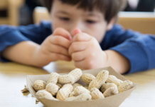Araştırma: Çocuk yaşta yer fıstığı yeme alışkanlığı alerji riskini %71 oranında azaltabiliyor.