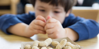 Araştırma: Çocuk yaşta yer fıstığı yeme alışkanlığı alerji riskini %71 oranında azaltabiliyor.