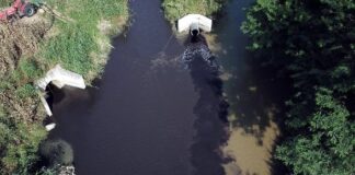 📽️ Aras Şelalesi’nden tertemiz doğan Bursa Nilüfer Çayı’nı Kent acımasızca kirletiyor!