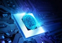 İnsan beyninden “yaşayan bilgisayar” üretildi