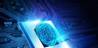 İnsan beyninden “yaşayan bilgisayar” üretildi