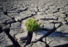 Türkiye 12 aylık kaynağını 7 ayda tüketerek limitini aştı