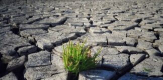 Türkiye 12 aylık kaynağını 7 ayda tüketerek limitini aştı