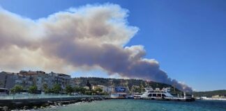 Çanakkale’de yangın Tarihi Yarımada’ya ilerliyor; söndürme çalışmalarına ordu da destek verecek.