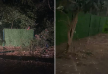 📽️MEB’den Validebağ Korusu’na gece yarısı operasyonu: Paravanlar yerleştirdi