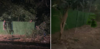 📽️MEB’den Validebağ Korusu’na gece yarısı operasyonu: Paravanlar yerleştirdi