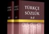 Türk Dil Kurumu, cinsiyetçi ifadeler içeren bazı kelimelerin anlamlarını sözlükten kaldırdı
