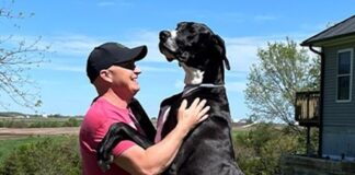 Dünyanın en uzun köpeği hayatını kaybetti