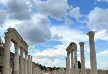 Meltem TERZİOĞLU/ Yazar/Çevirmen /Arkeolog / SÖYLEŞİ