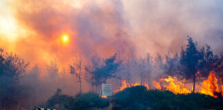 Çeşme, Selçuk ve Menderes’te orman yangınları; Bakan Yumaklı: Yangınlar kontrol altında, gözaltına alınanlar var