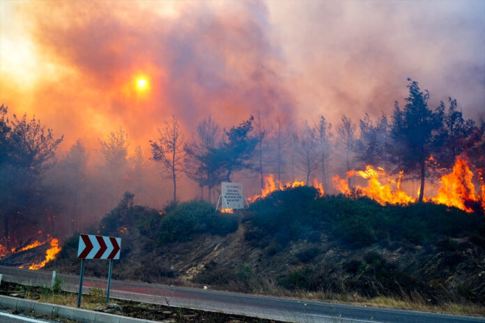 aa-20240629-35005361-35005358-izmir-xn4g