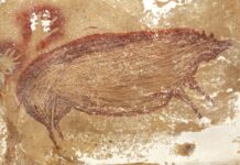 📽️50 binden daha yaşlı;Dünyanın en eski mağara resmi bulundu