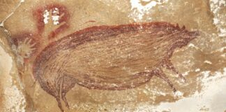 📽️50 binden daha yaşlı;Dünyanın en eski mağara resmi bulundu