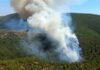 Bodrum ‘da meydana gelen orman yangını geniş bir alana yayılıyor.