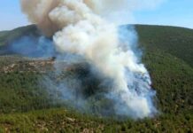 Bodrum ‘da meydana gelen orman yangını geniş bir alana yayılıyor.