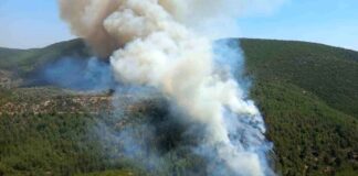 Bodrum ‘da meydana gelen orman yangını geniş bir alana yayılıyor.