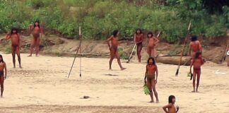 📽️Dünyadan soyutlanmış kabilenin üyeleri, yaşadıkları ormanın dışında toplu halde görüntülendi