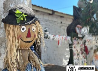 Sahnesi köy ve mahalleler olan 11. Uluslararası Urla Toprak Sahne Tiyatro Festivali Yarın başlıyor!